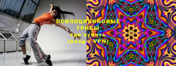 амф Лабытнанги