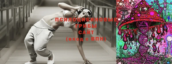 индика Тихорецк