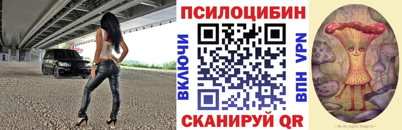 Купить  Балабаново  Галлюциногенные грибы GOLDEN TEACHER 